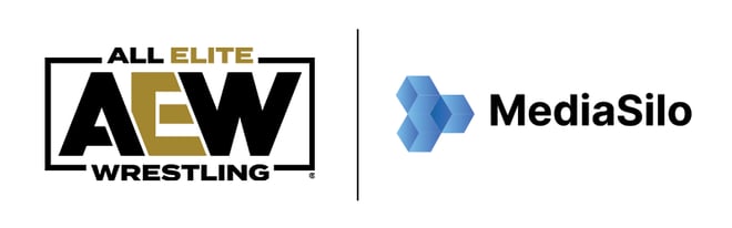 AEW_MediaSilo_Case_Study