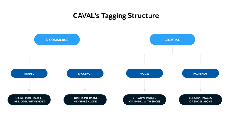 Chart demonstrating CAVAL's tagging structure.